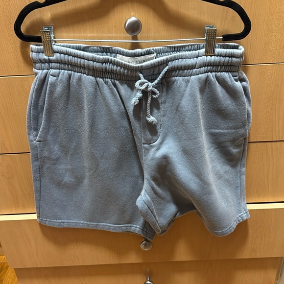 Pac Sun Men Shorts 1